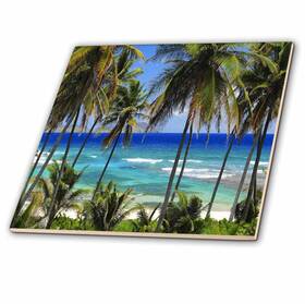 3drose 173296 Tropical Palm Trees Blue Ocean Day Scene Ceramic Tile 12