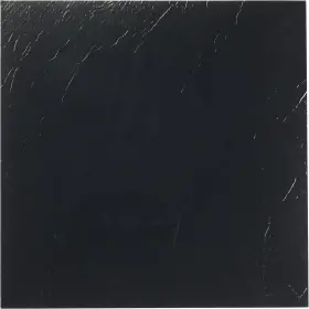 Ftvso10120 Achim Imports Home Improvement Nexus Self Adhesive 12-inch Vinyl Floor Tiles 20 - 12 Inch X Black Patte