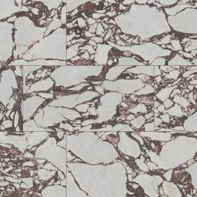 Ackland Aknptvenamar24x48p-sm Aknptven24x48p-ca-sample Sample Only Of Aknptven24x48p-ca - Amarith