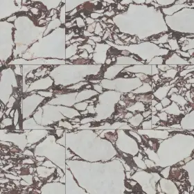 Aknptven24x48p-ca-sample Ackland Aknptvenamar24x48p-sm Sample Only Of Aknptven24x48p-ca - Amarith
