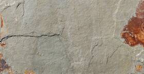 Ackland Aktltsigo12x24g-ca Aktlt12x24g-ca 12 Inch X 24 Stone Solid Floor And Wall Tile - Sierra Gold