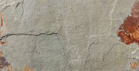 Ackland Aktltsigo12x24g-pl Aktlt12x24g-pl 12 Inch X 24 Stone Solid Floor And Wall Tile - Sierra Gold