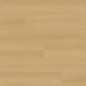 Ackland Akvrcwesd9x60-9030-sm Akvrc9x60-9030-sm Sample Only Of - Wesden