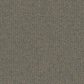 0768d-959-2424 Aladdin Rules Of Conduct - Nickel Gray Commercial 24 X Inch Glue-down Carpet Tile 0768d-959-2424 Aladdin Rules Of Conduct - Nickel Gray Commercial 24 X Inch Glue-down Carpet Tile