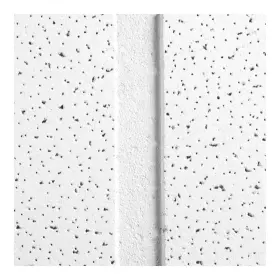 32wl80 Armstrong 1861b Ceiling Tile 48 In L 24 W Pk8