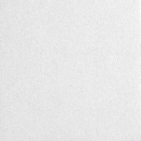 Armstrong 2824ntemp Ceiling Tile 9/16 In Grid Size 4 Pk