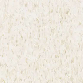 51839031 Armstrong 12 Inch X12 Frwht Vnyl Flrtle 042369011907 51839031 Armstrong 12 Inch X12 Frwht Vnyl Flrtle 042369011907