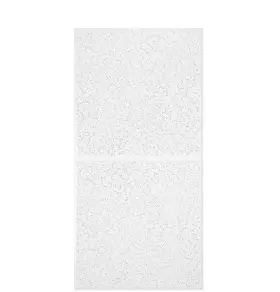 9767 Armstrong Drop Ceiling Tile 24 Inch X 48 Tegular Acoustic White 80-sq-ft/case