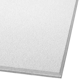 1775b Armstrong Ceilings Panel Ceiling Tile 2ft X Tegular White 64-sq.-ft./case