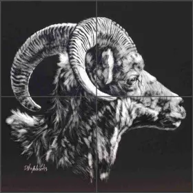 Dha032cs Artwork On Tile Dall Ram Backsplash Debbie Hughbanks Wildlife Art Ceramic Mural Dha032