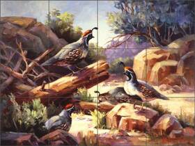 Artwork On Tile Rw-mja005cs Desert Quail Backsplash Maxine Johnston Southwest Ceramic Mural Rw-mja005
