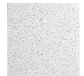 Branded 313036239291 2 Ft. X Radar Basic White Square Edge Lay-in Ceiling Tile Case Of 16 64