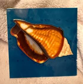 Continental 400100311271 Iggy Biggy Fighting Conch Decorative Wall Art Ceramic Tile 8x8