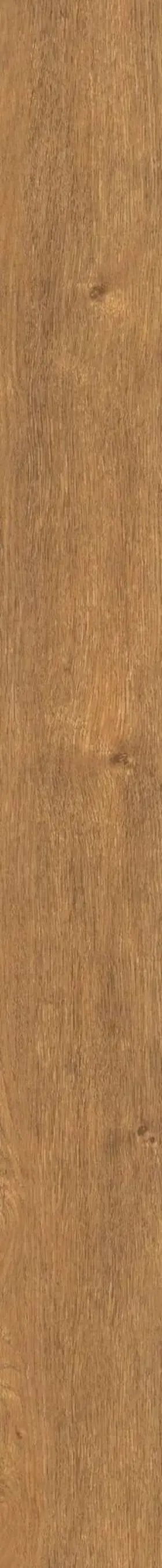 Vv023-00205 Coretec Plus 5 Collection - Inch Luxury Vinyl Plank Northwoods Oak Vv023-00205 Coretec Plus 5 Collection - Inch Luxury Vinyl Plank Northwoods Oak