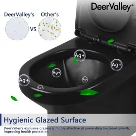 Deervalley 751313648693 Liberty Dual-flush One-piece Compact Toilet