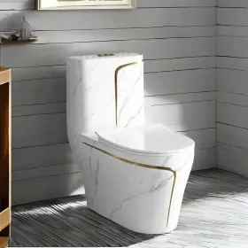 Devera 845834864264 White Double Gear Flushing One Piece Toilet Seat Included