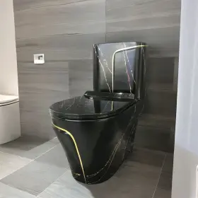 Devera 845834864295 Black Mordern One Piece Toilet With Seat Devera 845834864295 Black Mordern One Piece Toilet With Seat