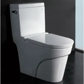 Tb326 Eago 811413022318 White Porcelain 1-piece Ultra-low-flush Small Mini Extra Larg