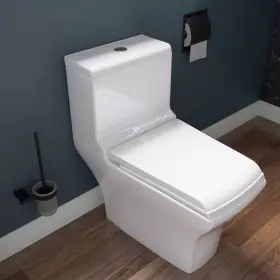 Tb356 Eago 811413022387 White Porcelain Dual Flush One Piece Eco-friendly