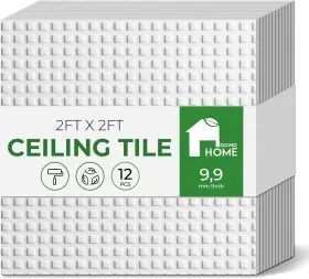 Econohome Mw-eh/ar-cts/12 Aerolite Calcium Silicate Waterproof Ceiling Tiles - 24x24