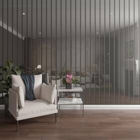 Ekena Millwork Swa55x94x0125sv 94 Inch H X 1/8 T Adjustable Acrylic Slat Wall Panel Kit With 4 W Slats Silver Mirr