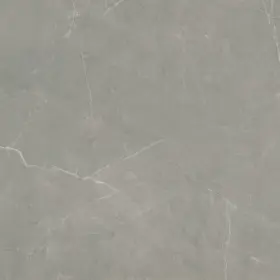 F13ster2424p Emser Tile Sterlina - 24 Inch X Square Floor And