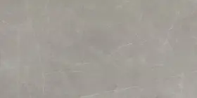 F20sterdo2447p Emser Tile F20ster2447p Sterlina Ii - 24 Inch X 47 Rectangle Floor Dove