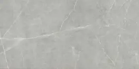 F20ster-1224-sample Emser Tile Mktsterliigr0404m Sample Only Of F20ster-1224 - Grey