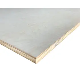 Falken Design 810078682806 3/4 Inch X 4 Ft. 8 A2 Birch Plywood
