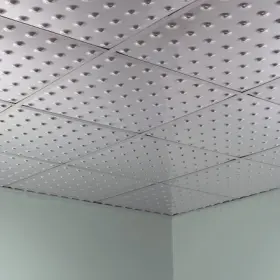 Pl6308 Fasade Dome 2ftx2ft Lay In Ceiling Tile Br Pk 5 Pl6308 Fasade Dome 2ftx2ft Lay In Ceiling Tile Br Pk 5