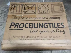 Genesis 764890740001 Case 40 Pro Ceiling Tile 24 In W X L Molded Plastic