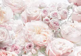 8-976 Komar 036834089870 Spring Roses Wall Mural Pink