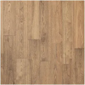 Lfe09-l-sample Mohawk Industries Spc1301255 Sample Only Of Lfe09-l - Bankside Oak
