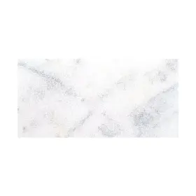 Msi 744110400281 Take Home Tile Sample-sierra White 1.18 Inch X 4 Sandblast Marble Pav