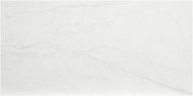 Msi Ndurwhi1224p-plt N1224p-plt 12 Inch X 24 Solid Floor And Wall Tile - Polished Durban White