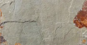 Scalgld1224g-plt Msi 12 Inch X 24 Solid Floor And Wall Tile - Natural