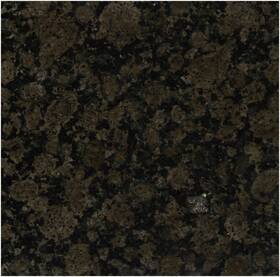 Msi Tbalbrn1212 12 Inch X Square Floor And Wall Tile - Polished Brown