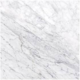 Msi Tcarrwht181838 Carrara White - 18 Inch X Square Floor And Polished