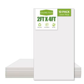 Noooza 781912458102 2ft X 4ft Drop Ceiling Tiles Smooth White Pvc Panel 24 48in