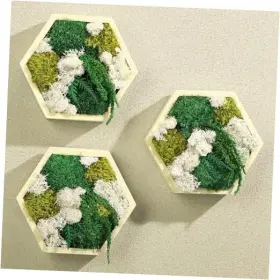 Zon-rattanview-1051 Rattanview 3 Pcs 5 X 6inch Moss Wall Art Wood Color Honeycomb Hexagon