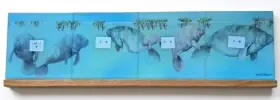 700-001 Reflective Expressions Waterline Pool Tile Manatee Scene 6 Inch X 24 Kevin R Brant
