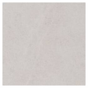 Shaw 442ts Fervor - 12 Inch X 24 Floor And Wall Tile Sold By