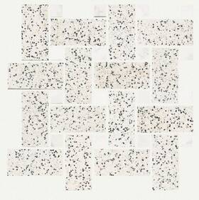 Shaw 527ts Noble Pursuit - 2 Inch X 4 Floor And Wall Tile Honed