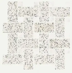 527ts Shaw Noble Pursuit - 2 Inch X 4 Floor And Wall Tile Honed