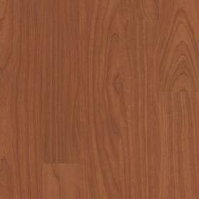 Shaw 5402v-00800 5402v Bosk Pro 4 Inch X 36 Embossed Vinyl Flooring - Brazen Red