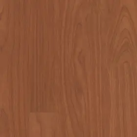 5402v-00800 Shaw 5402v Bosk Pro 4 Inch X 36 Embossed Vinyl Flooring - Brazen Red