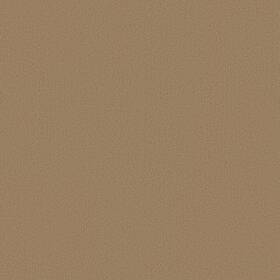 Shaw 54462-62103 54462 Philadelphia Commercial Color Accents Tl 24 Inch X - Gilded