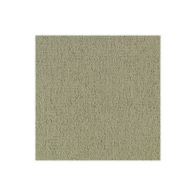 Shaw 54462-62104 54462 Philadelphia Commercial Color Accents Tl 24 Inch X - Beige