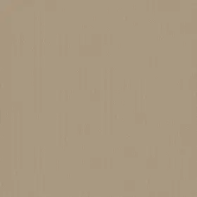 54462-62111 Shaw 54462 Philadelphia Commercial Color Accents Tl 24 Inch X - Cornsilk