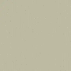 54462-62145 Shaw 54462 Philadelphia Commercial Color Accents Tl 24 Inch X - Tumbleweed
